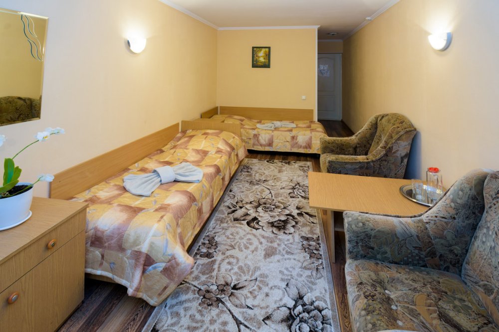 Двухместный однокамнатный номер первого разряда